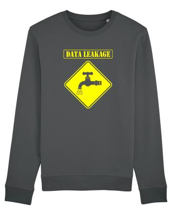 Data Leackage Anthracite