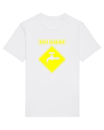 Data Leackage White
