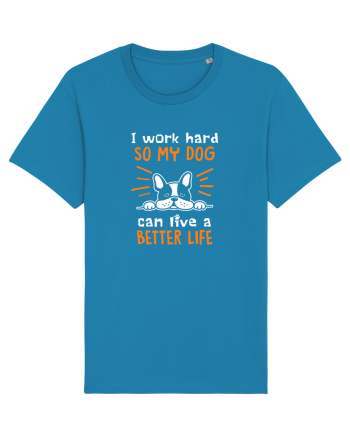 Work hard for my dog Azur