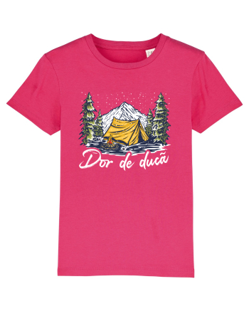 pentru montaniarzi - Dor de ducă Raspberry