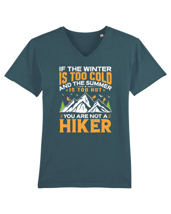 pentru montaniarzi - If the winter is too cold Stargazer