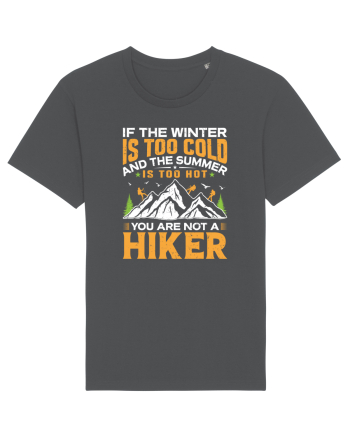 pentru montaniarzi - If the winter is too cold Anthracite