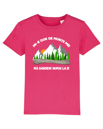 pentru montaniarzi - Mi-e dor de muntii mei Raspberry