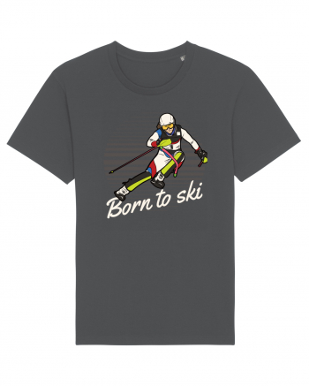 Sporturi de iarnă - Born to ski v2 Anthracite