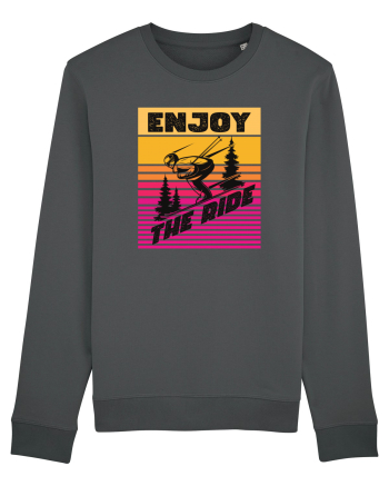 Sporturi de iarnă - Enjoy the ride Anthracite