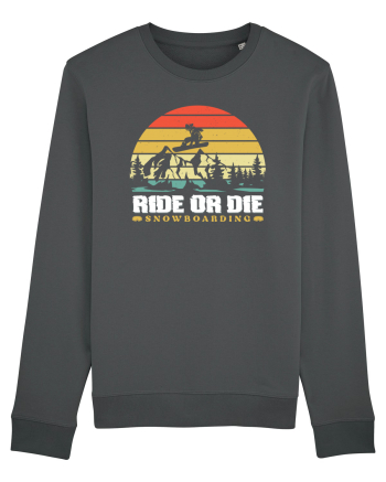 Sporturi de iarnă - Ride or die Anthracite