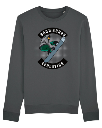 Sporturi de iarnă - Snowboard evolution Anthracite