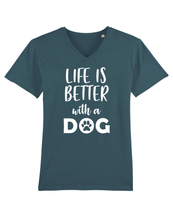 Life is better wit ha dog Stargazer