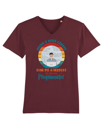 M-am făcut programator - el Burgundy