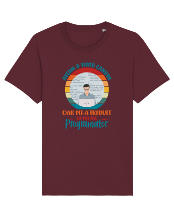 M-am făcut programator - el Burgundy