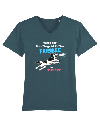 Frisbee Stargazer
