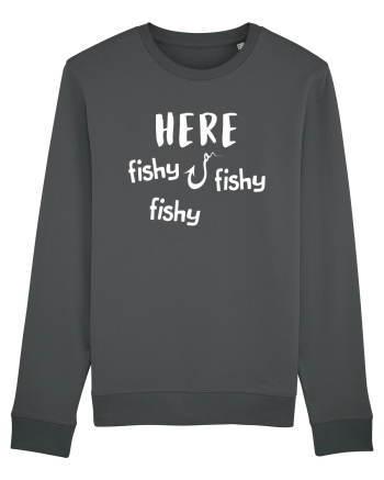 Here fishy fishy fishy Anthracite