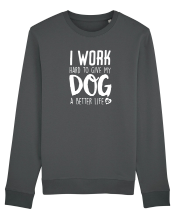 Dog life Anthracite