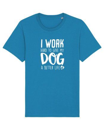 Dog life Azur