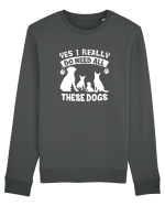 I need all these dogs Bluză mânecă lungă Unisex Rise