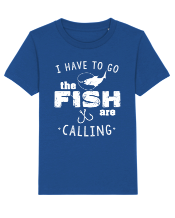 The fish are calling Majorelle Blue