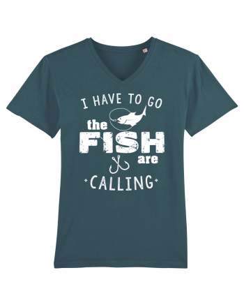 The fish are calling Stargazer
