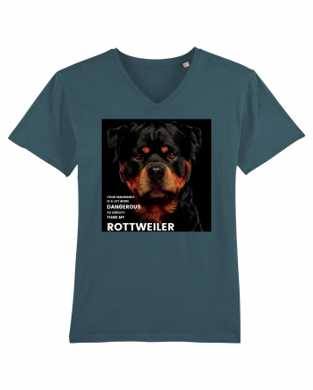 Rottweiler Mesaj Stargazer