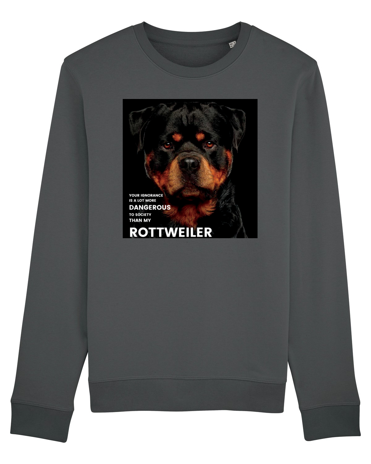 Bluză mânecă lungă Unisex Rise Anthracite