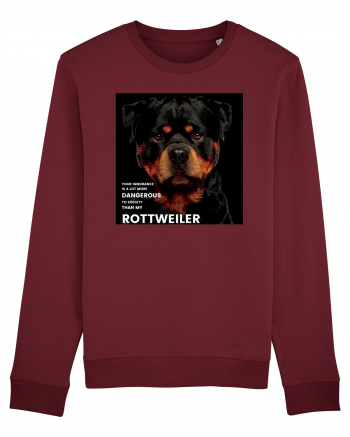 Rottweiler Mesaj Burgundy