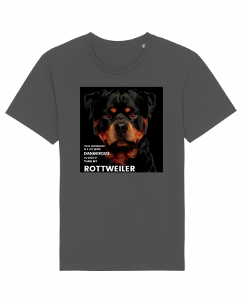 Rottweiler Mesaj Anthracite