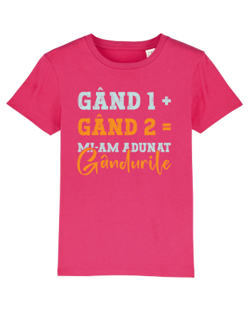 Mi-am adunat gâdurile Raspberry