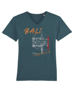Travel Bali, Indonesia Tricou mânecă scurtă guler V Bărbat Presenter