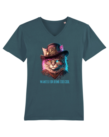 Wanted for being too cool Stargazer