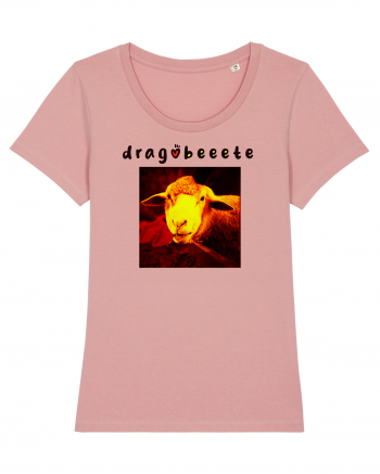 dragobeeete Canyon Pink