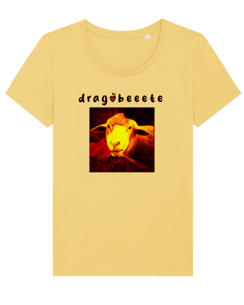 dragobeeete Jojoba