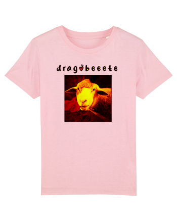dragobeeete Cotton Pink
