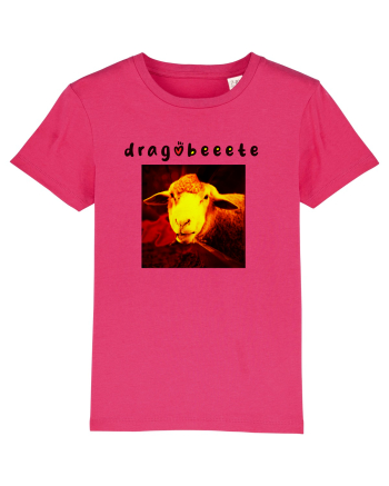 dragobeeete Raspberry