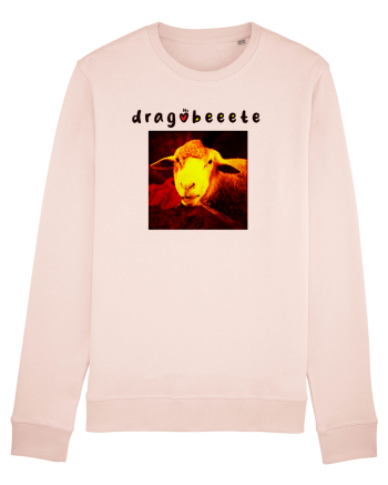 dragobeeete Candy Pink