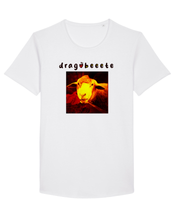 dragobeeete White