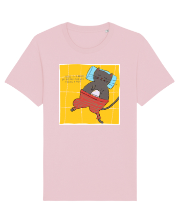 photo if cat sleeping Cotton Pink