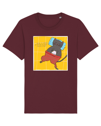 photo if cat sleeping Burgundy