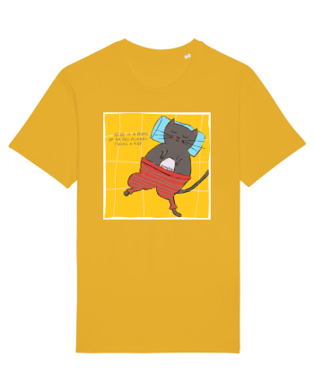 photo if cat sleeping Spectra Yellow