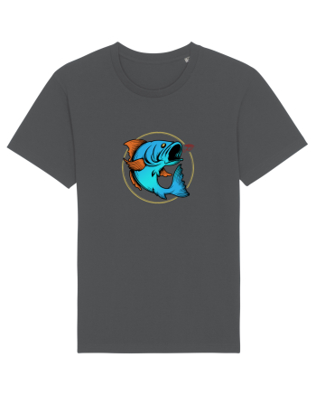Fishing Anthracite