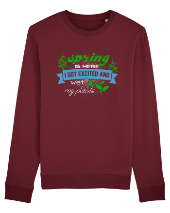 SPRING Burgundy