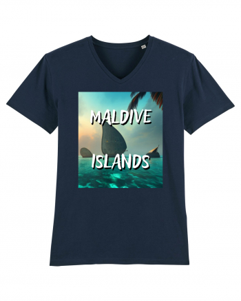 MALDIVE ISLANDS French Navy