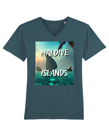 MALDIVE ISLANDS Stargazer