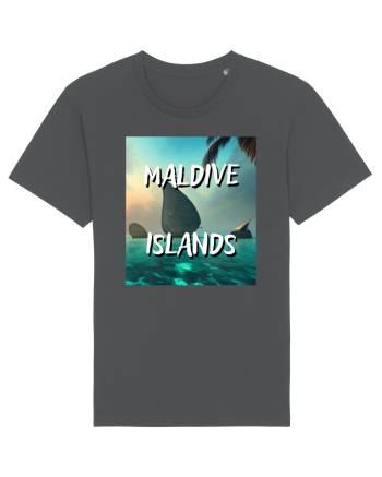 MALDIVE ISLANDS Anthracite