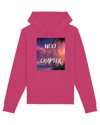 next chapter Raspberry