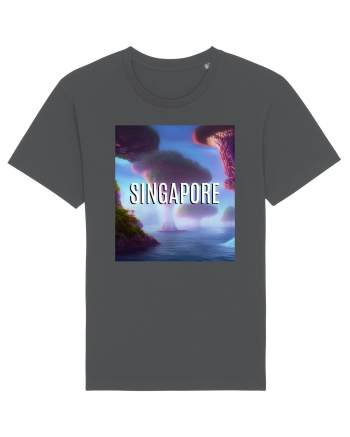 SINGAPORE Anthracite