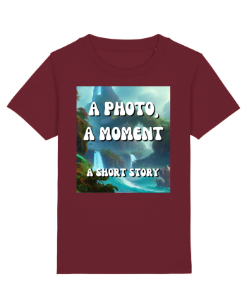 a photo a moment a short story Burgundy