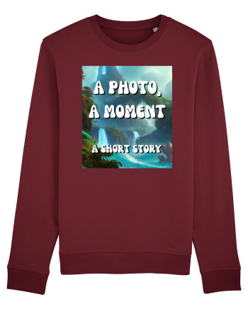 a photo a moment a short story Burgundy