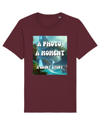 a photo a moment a short story Burgundy