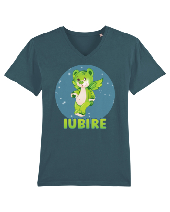Iubire cu ursuleț - v5 Stargazer