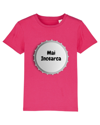MAI INCEARCA Raspberry