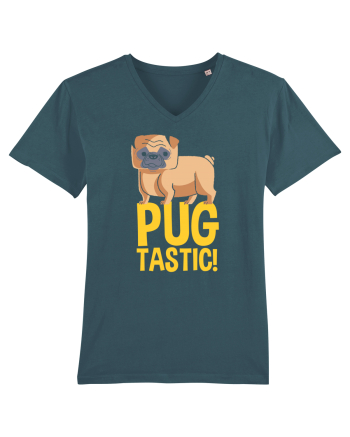 PUGtastic! Stargazer